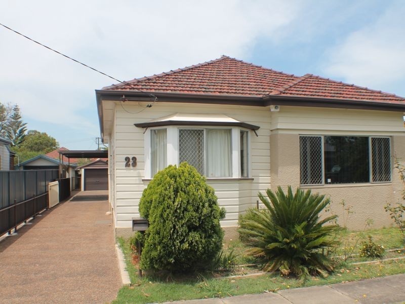 23 Braye Street, Mayfield NSW 2304