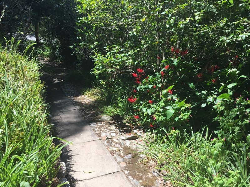 4/398 Brunker Road, Adamstown NSW 2289