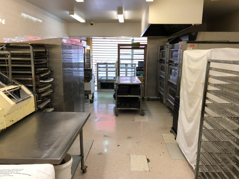 97 Beaumont Street, Hamilton NSW 2303