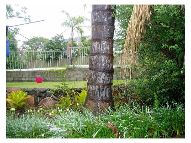 66 Chiplin Street, New Lambton NSW 2305