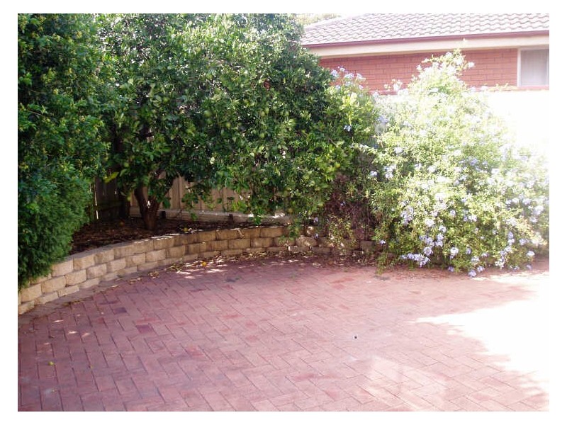 19 Milton Street, Hamilton NSW 2303