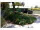 Mayfield NSW 2304
