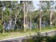 Wyee NSW 2259