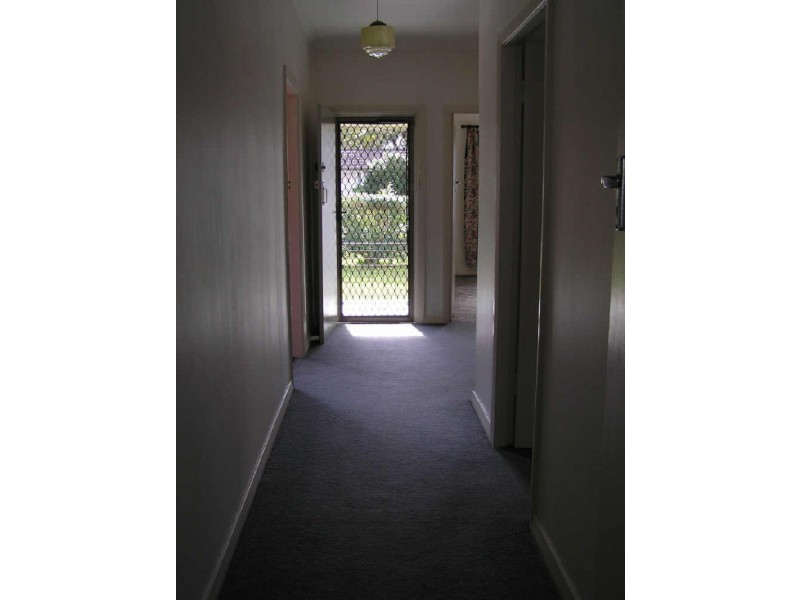 17 Carnley Avenue, New Lambton NSW 2305