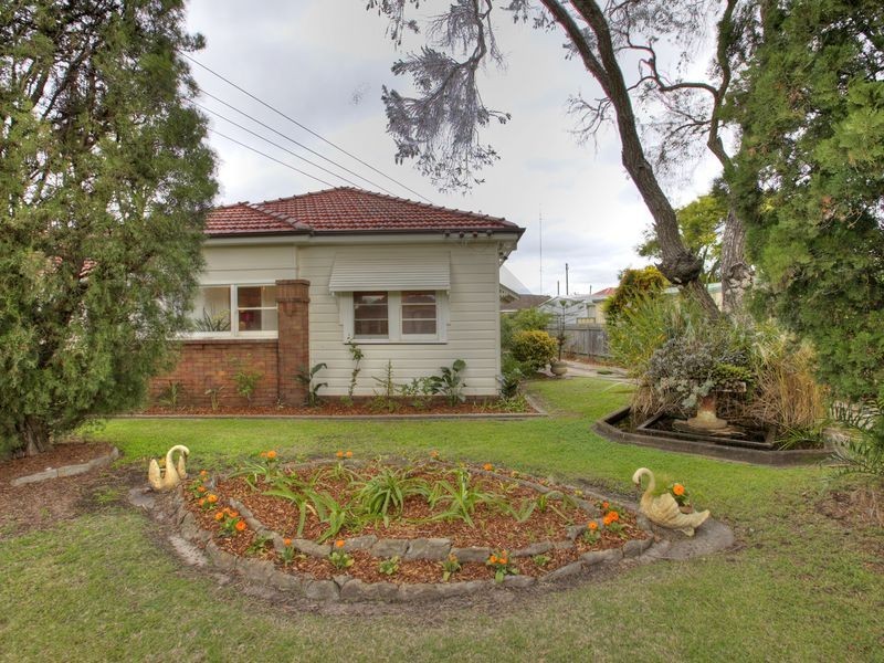 2 David Street, Georgetown NSW 2298
