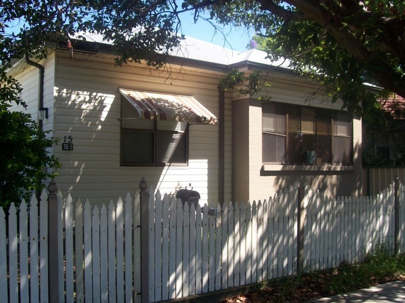 15 Braye Street, Mayfield NSW 2304