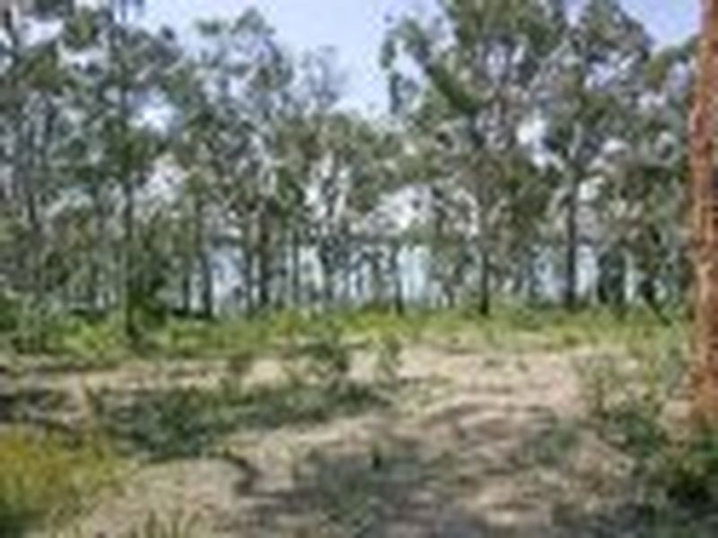 Lot 214 Halwin Close, Wyee Point NSW 2259
