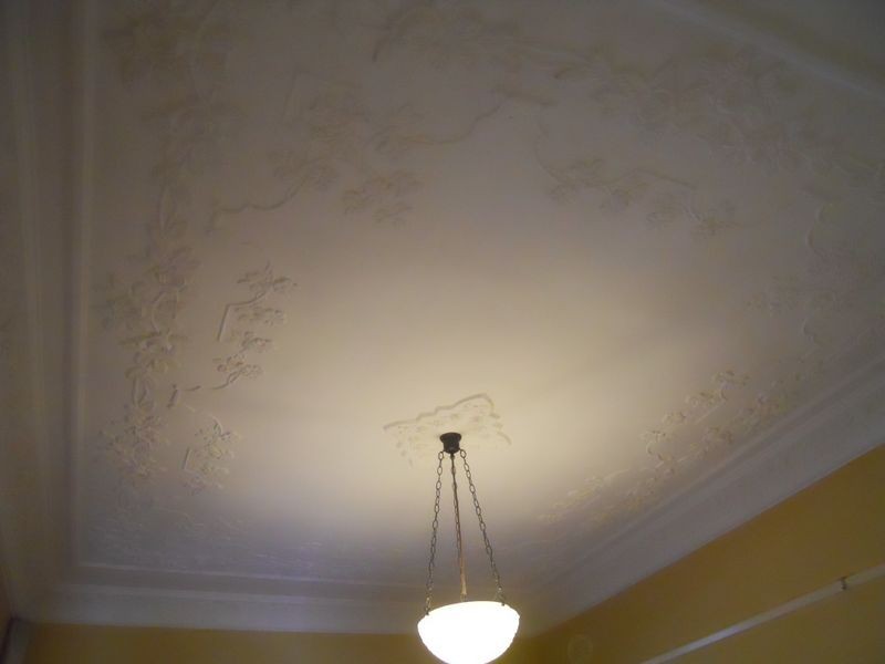 20 Wilkinson Street, Mayfield NSW 2304