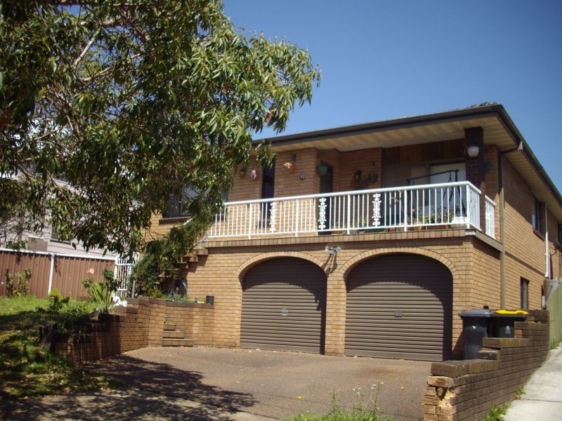 47 Harriet Street, Waratah NSW 2298
