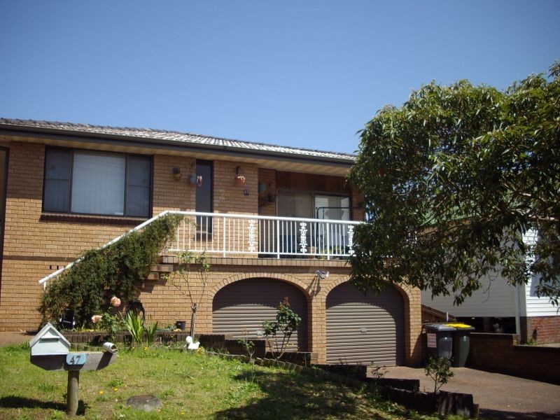 47 Harriet Street, Waratah NSW 2298