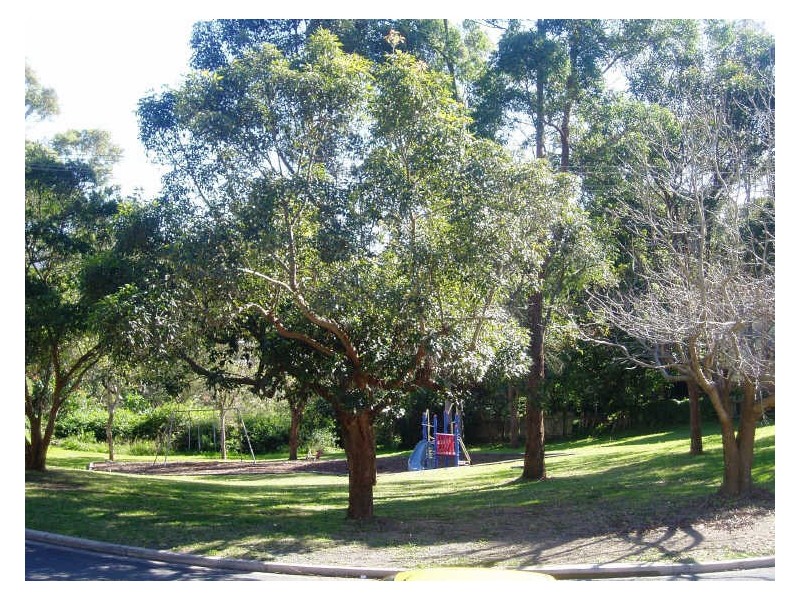 15 Russell Avenue, Adamstown Heights NSW 2289