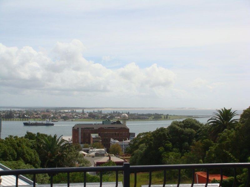 The Hill NSW 2300