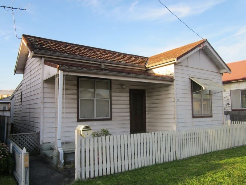 12 Wilkinson Street, Mayfield NSW 2304
