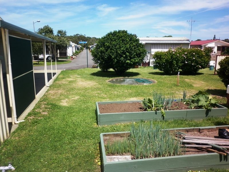 Fern Bay NSW 2295