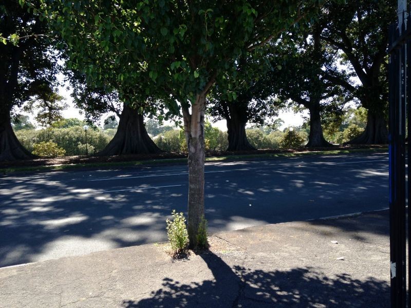 236 Maitland Road, Islington NSW 2296