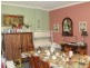 Georgetown NSW 2298