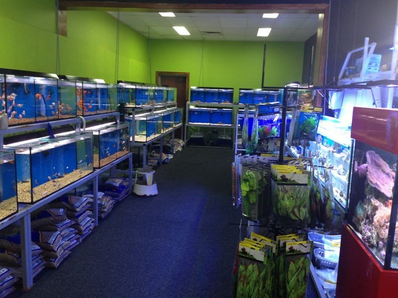 509 Lake Road, Argenton NSW 2284