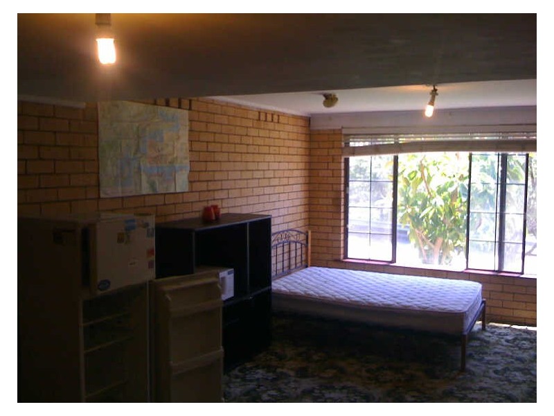 17 Princeton Avenue, Adamstown Heights NSW 2289