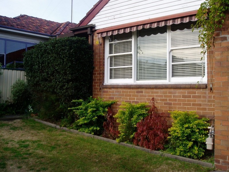 29 Gamack Street, Mayfield NSW 2304