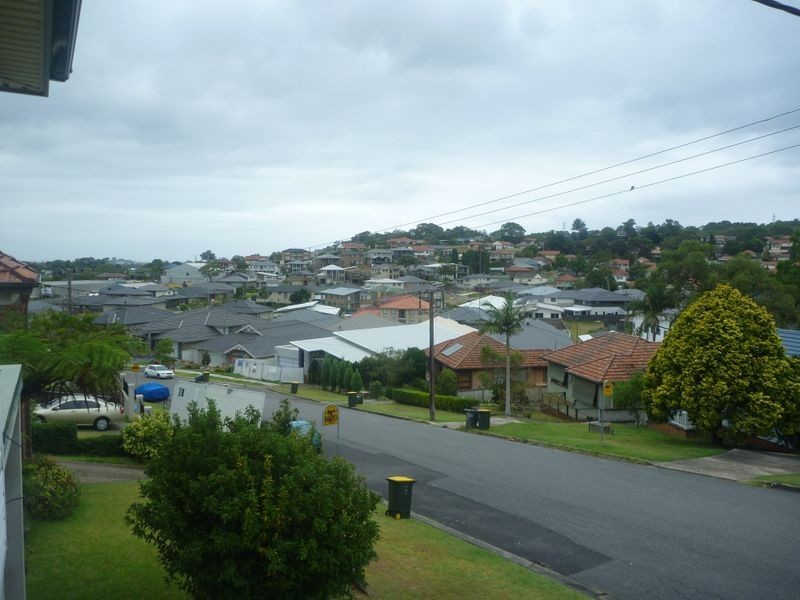 118 Bailey Street, Adamstown NSW 2289