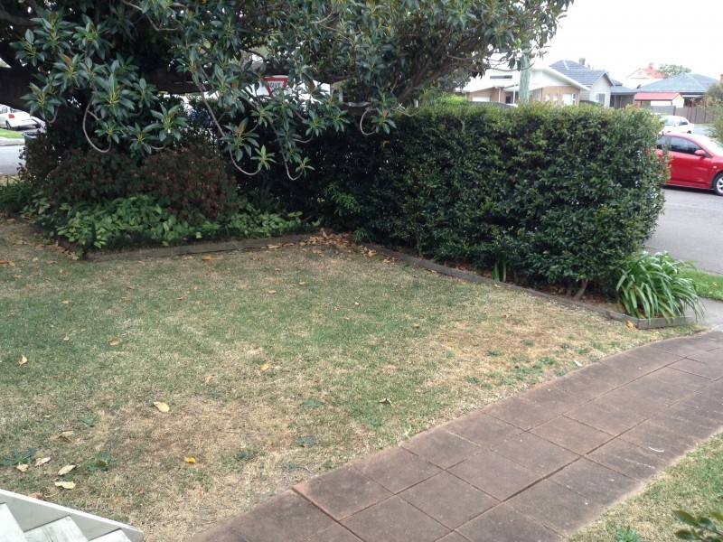 Unit 1/18 Ada Street, Waratah NSW 2298