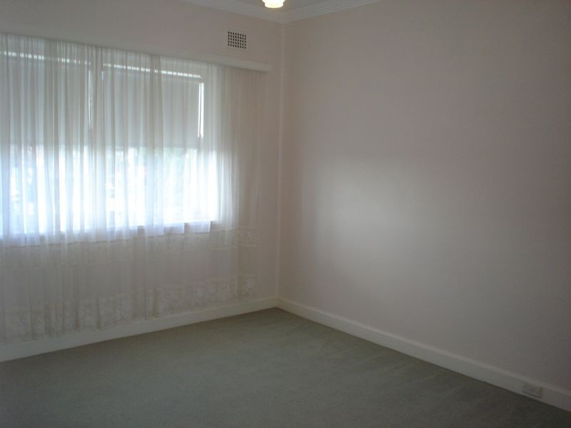 49 Bulkara Street, Adamstown Heights NSW 2289