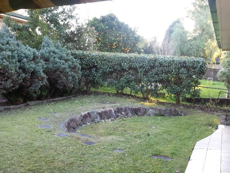 31 Jaffa Road, Dural NSW 2158