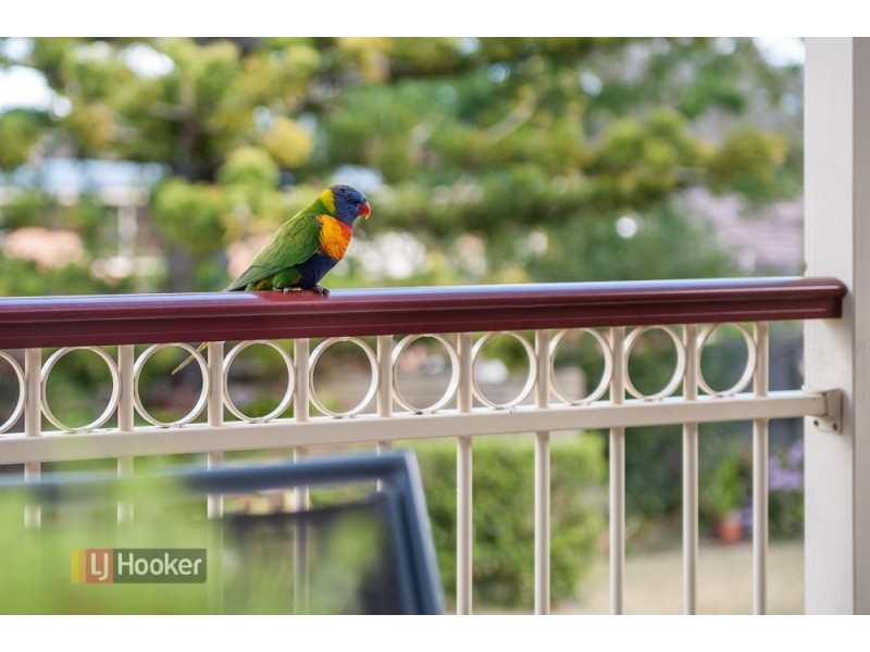 44B Old Glenhaven Road, Glenhaven NSW 2156