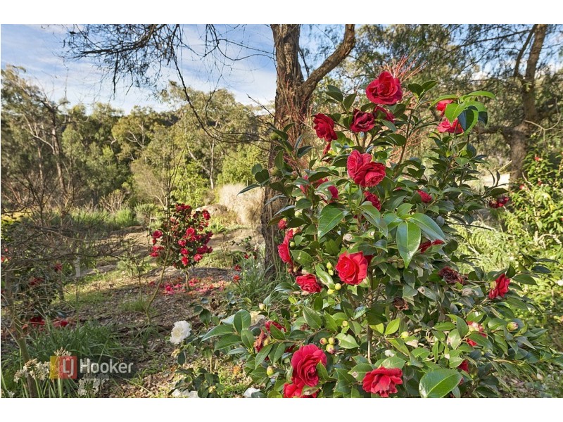 13-17 Neich Road, Glenorie NSW 2157