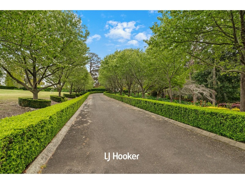 42 Cobah Road, Arcadia NSW 2159