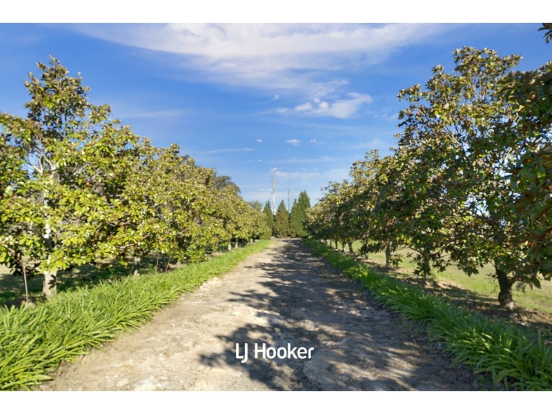 24 Moores Road, Glenorie NSW 2157