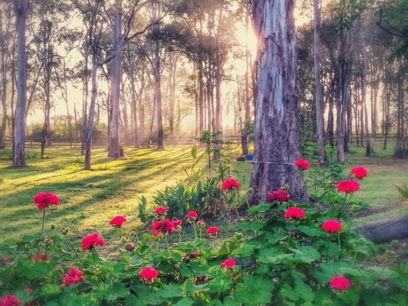 44 Nelson Road, Nelson NSW 2765