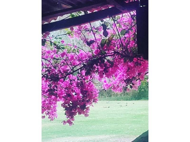 44 Nelson Road, Nelson NSW 2765