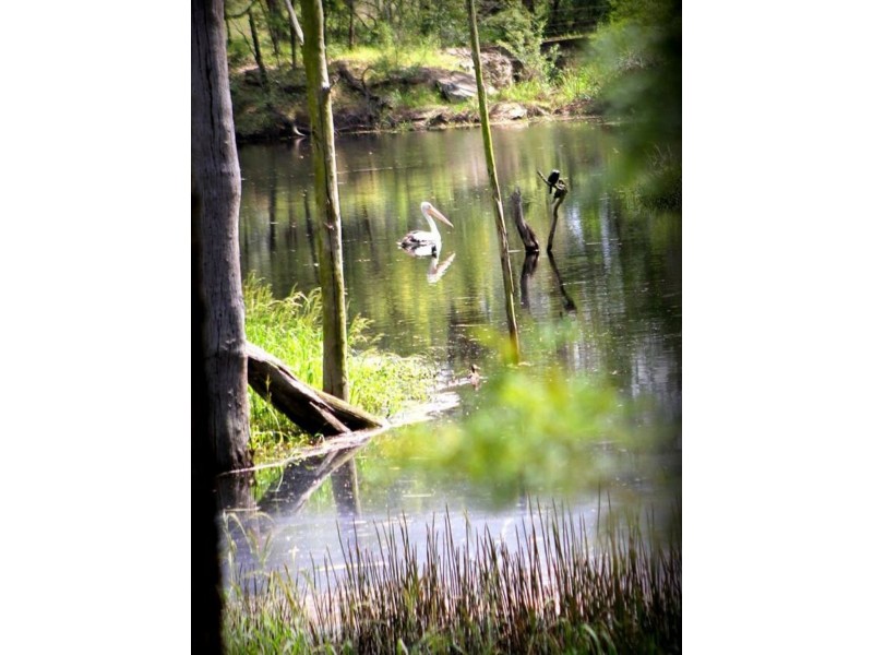 44 Nelson Road, Nelson NSW 2765