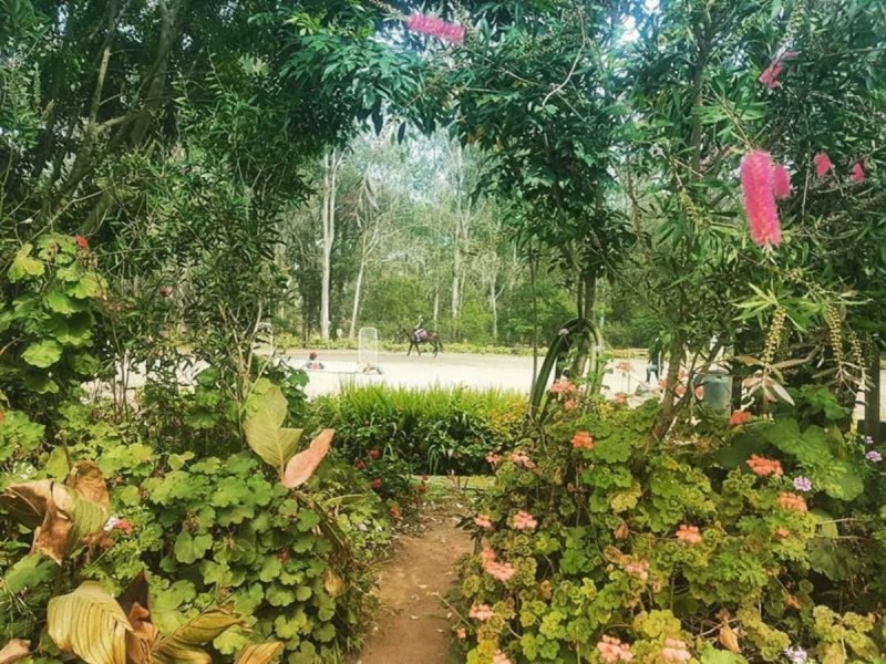 44 Nelson Road, Nelson NSW 2765