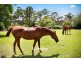 7 McLeod Road, Middle Dural NSW 2158