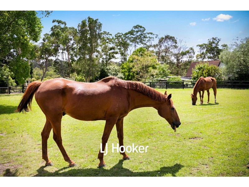 7 McLeod Road, Middle Dural NSW 2158