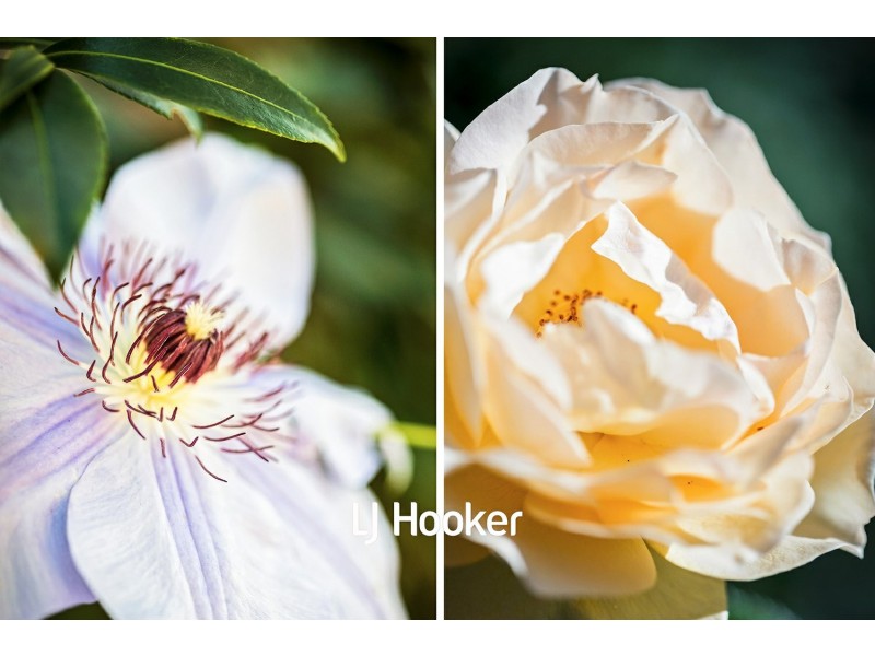 7 Davis Place, Glenhaven NSW 2156