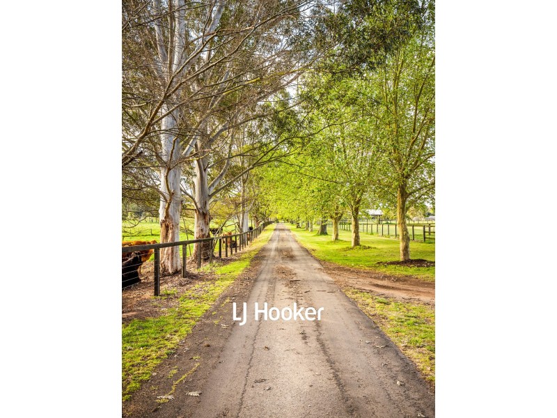 141 Blacktown Road, Freemans Reach NSW 2756