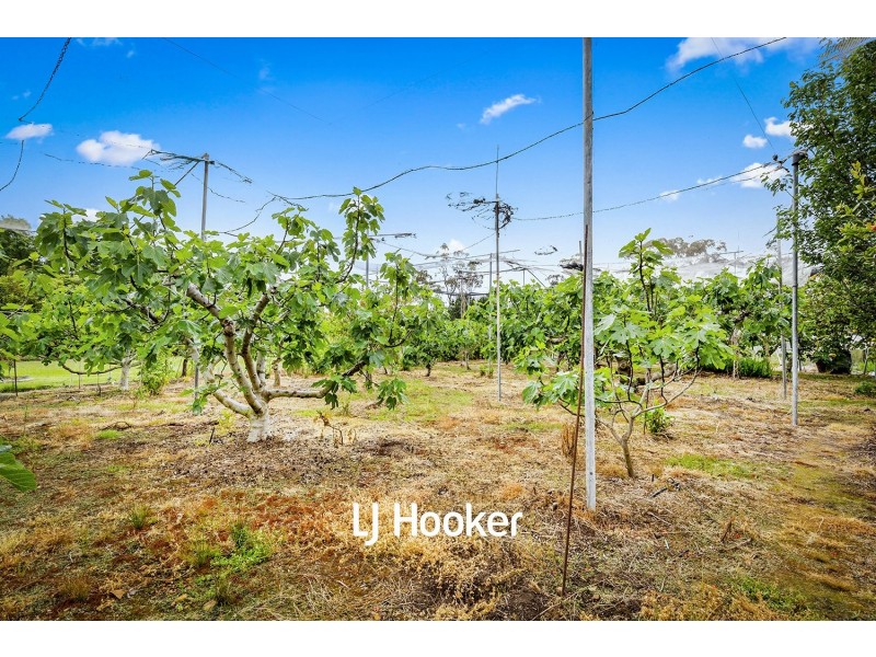 82 Cairnes Road, Glenorie NSW 2157