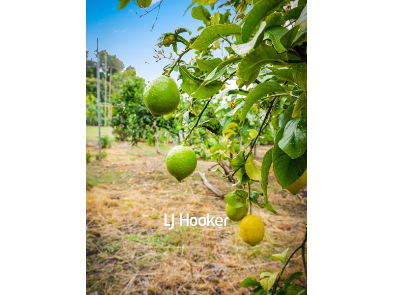 82 Cairnes Road, Glenorie NSW 2157