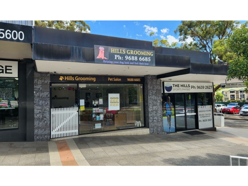 10B Olive Street, Baulkham Hills NSW 2153