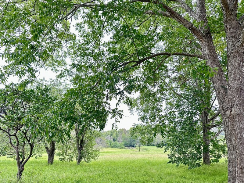 719 Old Northern Road, Dural NSW 2158