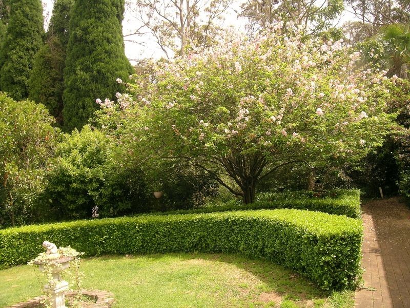 2 Smalls Road, Arcadia NSW 2159