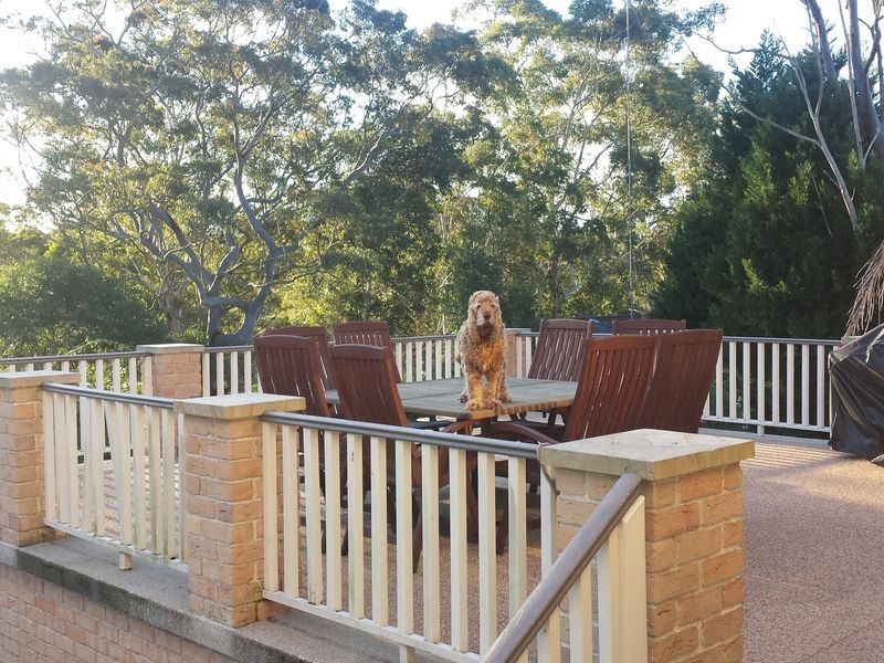 66 Hancock Drive, Cherrybrook NSW 2126