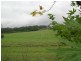 Galston NSW 2159