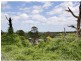 Dural NSW 2158