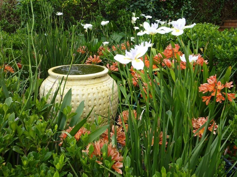 14 Finchley Place, Glenhaven NSW 2156