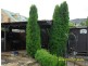 12 Wingara Court, Devonport TAS 7310