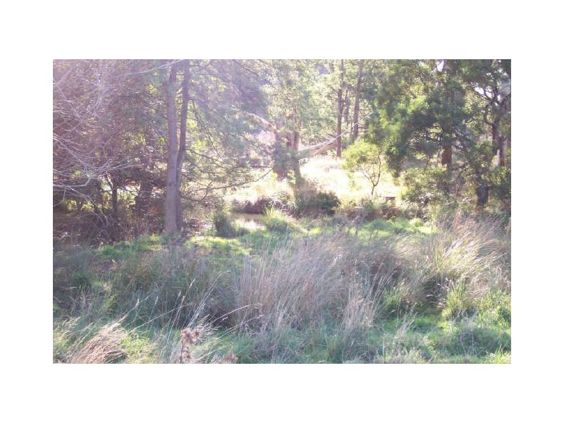 Lot 5 Dalwood Road, Nook TAS 7306